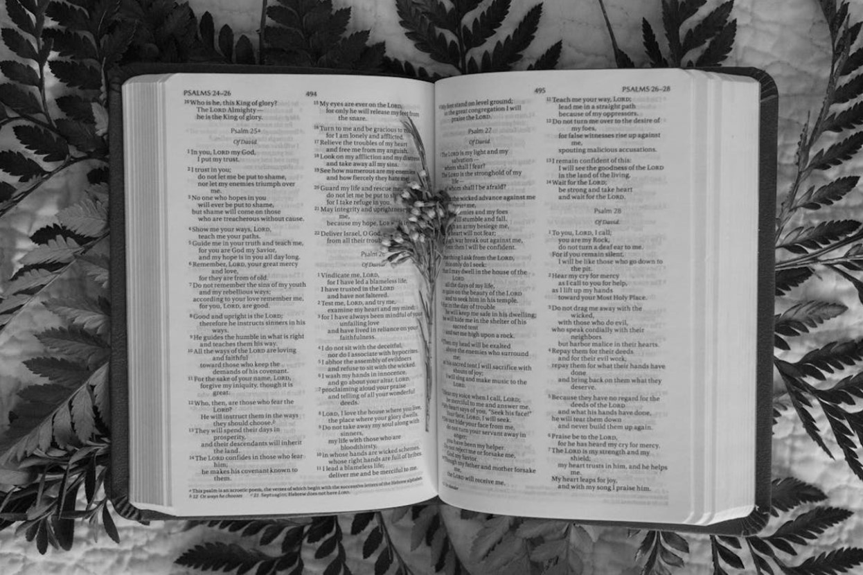 Photograph of the Bible opened to the Book of Psalms