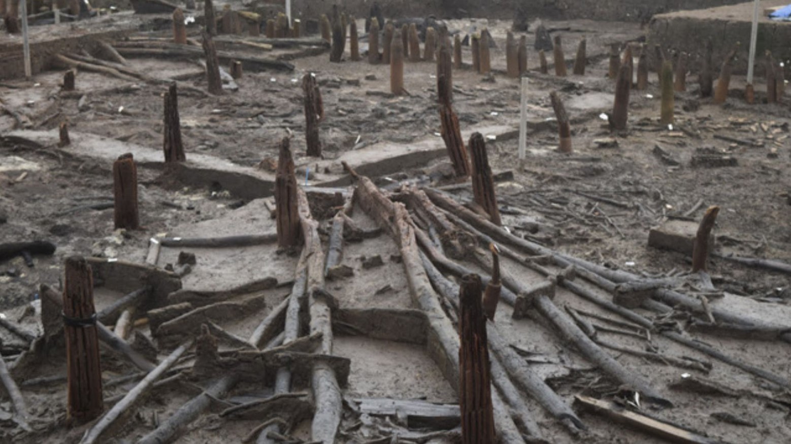 Quadrant of roundhouse one with the roof still to be excavated at Must Farm