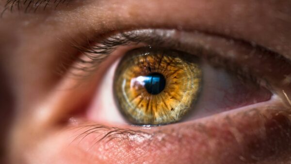A detailed close-up of a human eye. The eye has a striking amber-colored iris