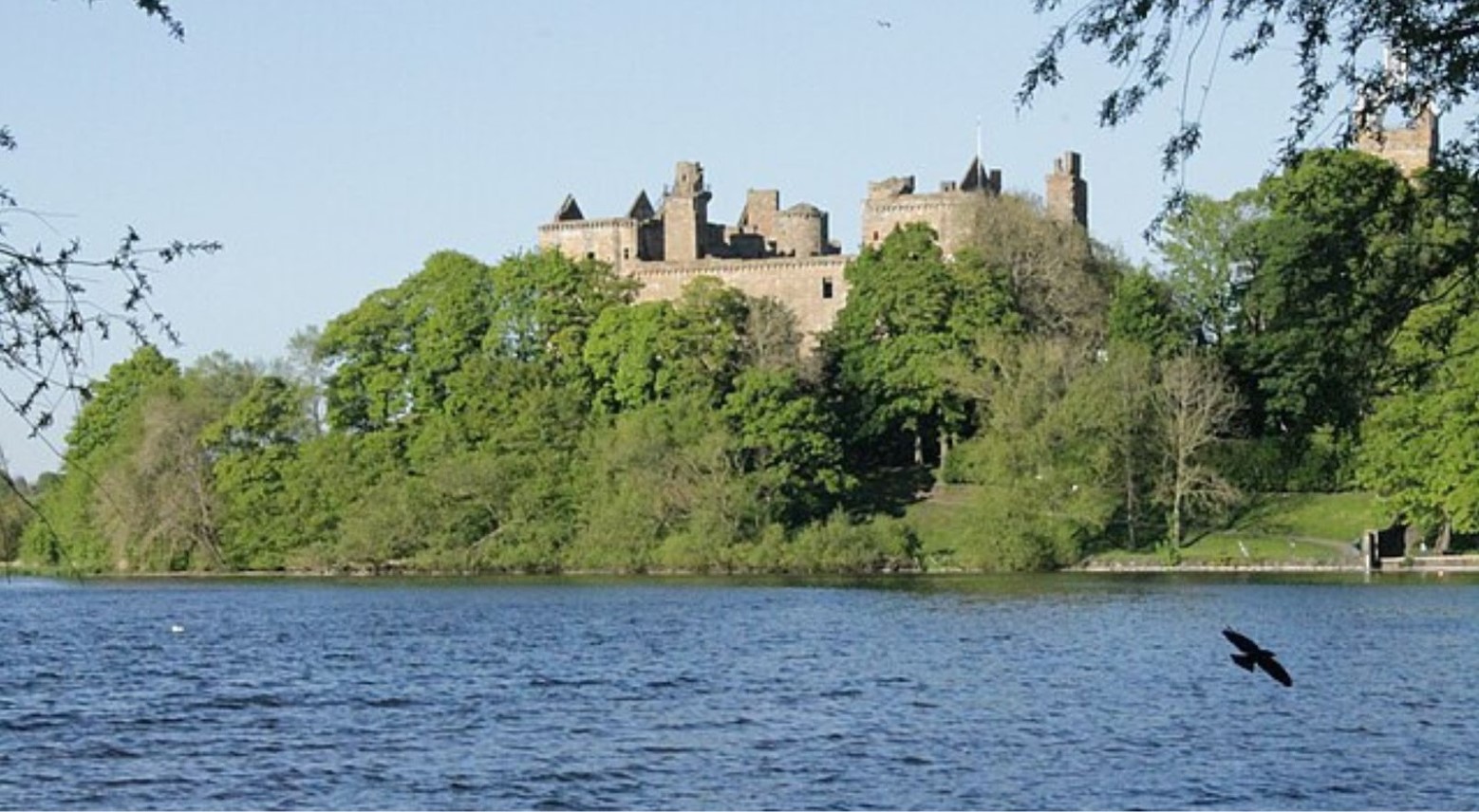 This is a view of Linlithgow Palace from Linlithgow Loch. Green trees and bushes surround the palace, and a blackbird is flying over the water.