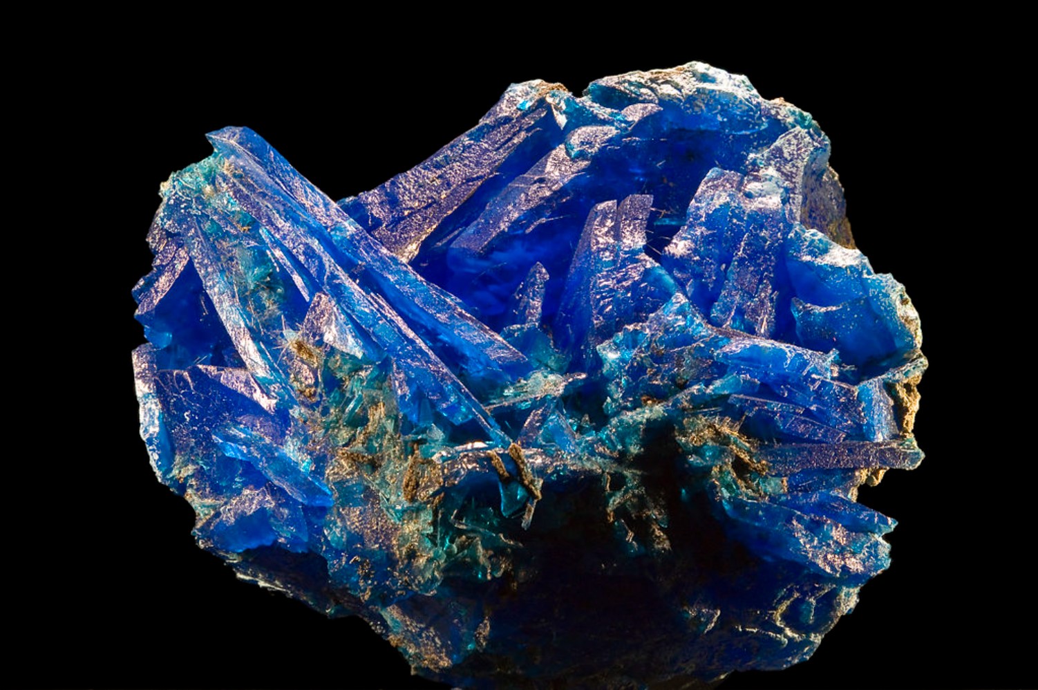 An up-close image of a large piece of Chalcanthite