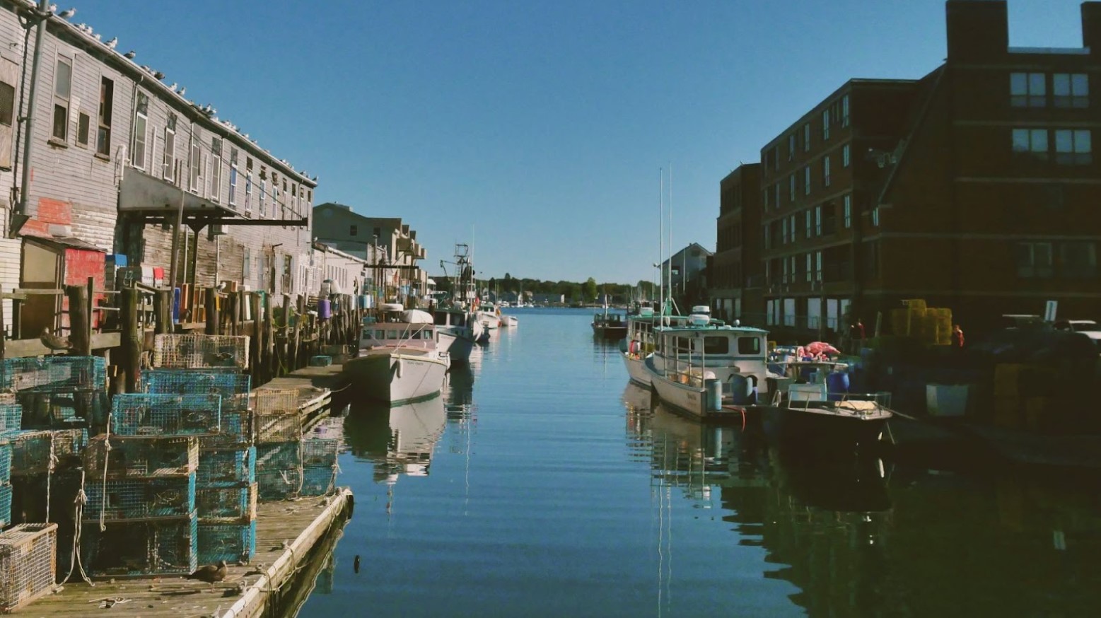 Boats in the water of a harbor of Portland, Maine.