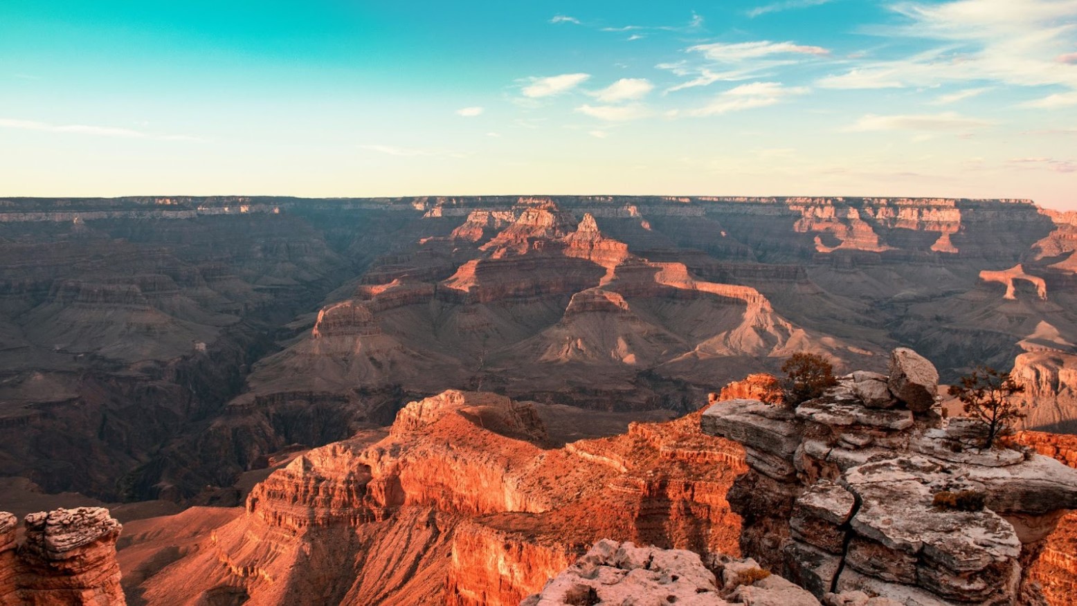 The Grand Canyon seen in the daytime underneath a blue sky.