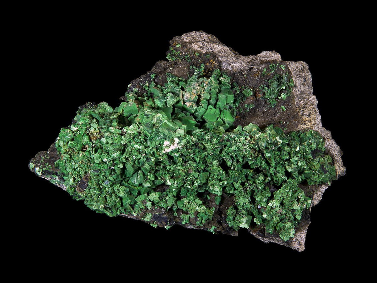 A piece of torbernite is pictured, showing off its green color