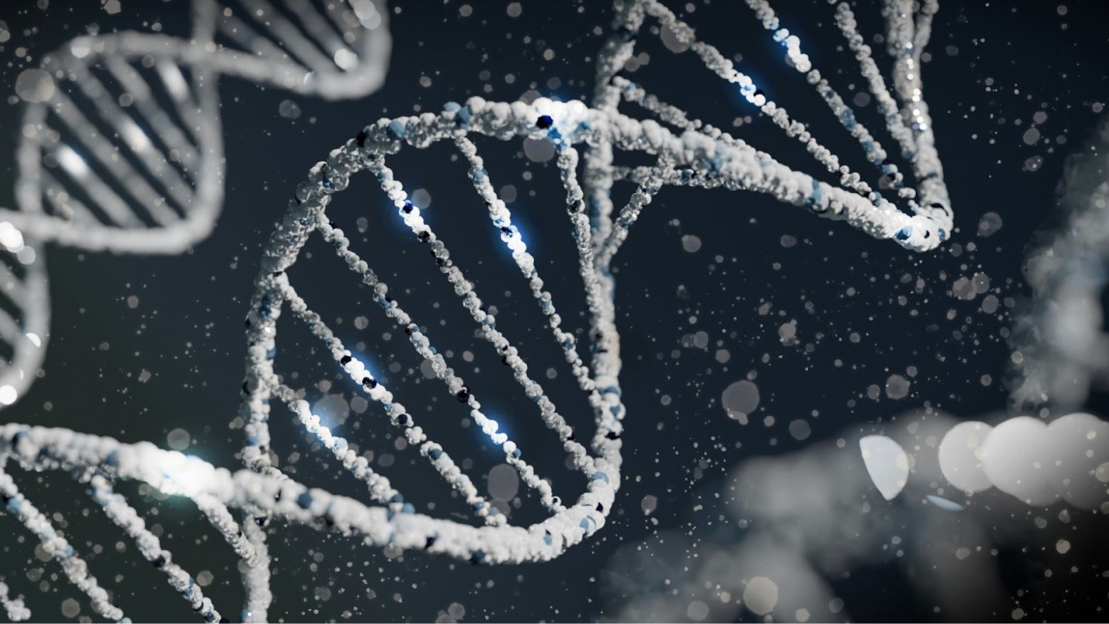 A close-up of a rendering of DNA strands.