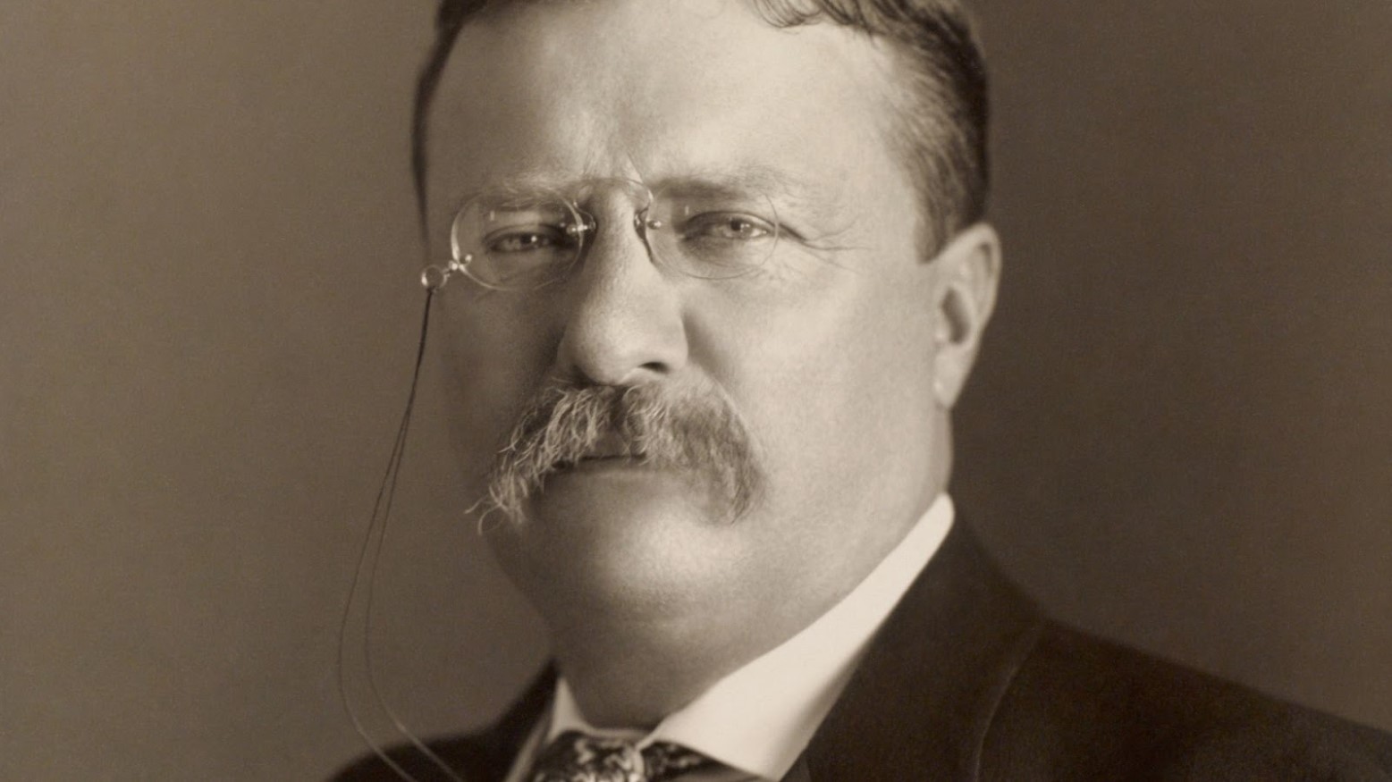 A portrait photograph of Theodore Roosevelt in 1904.