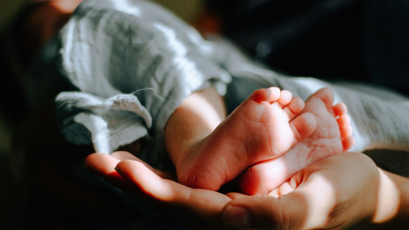 A newborn baby’s feet being held by an adult.