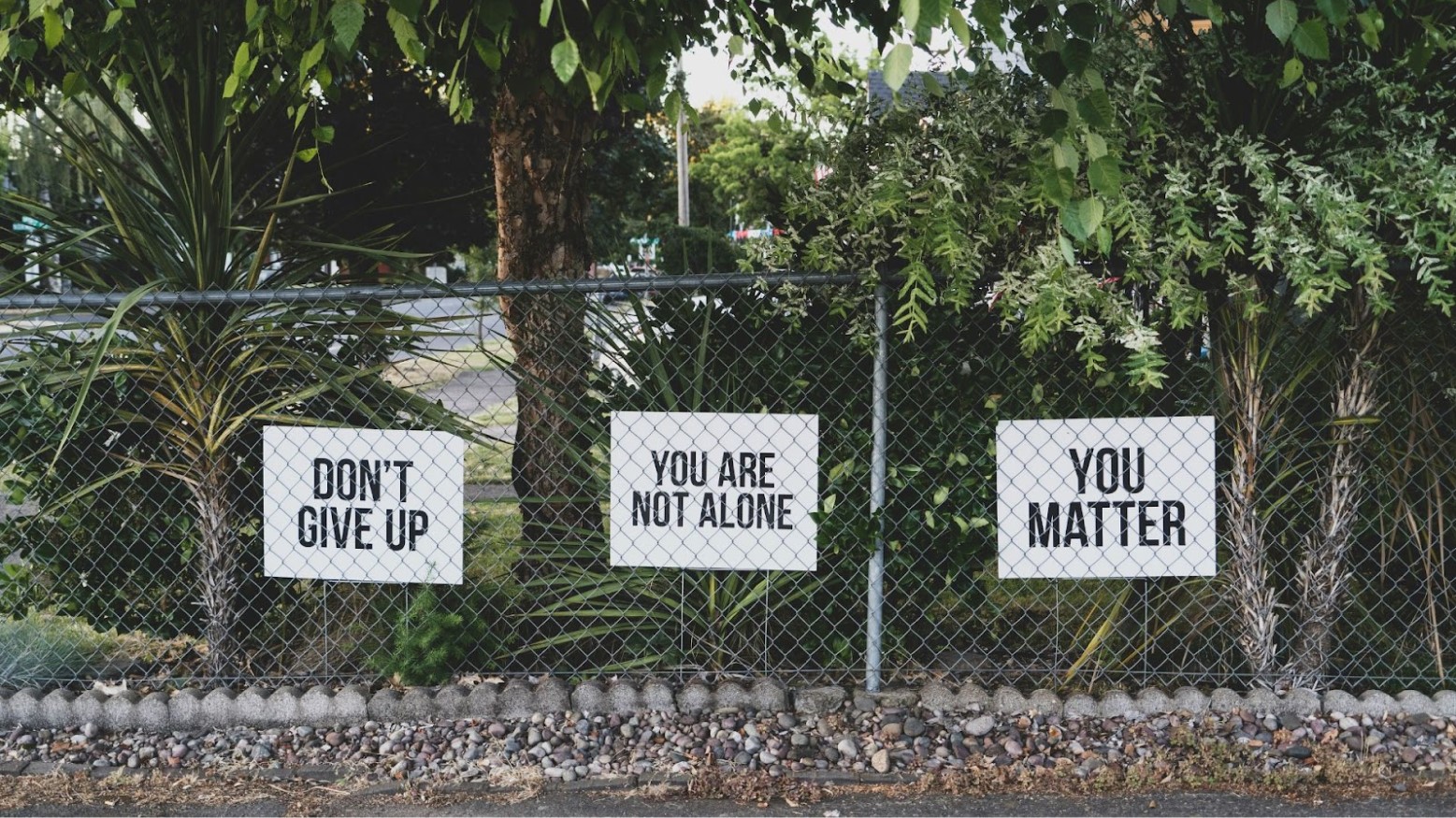 Helpful and positive signs about not giving up seen outside.