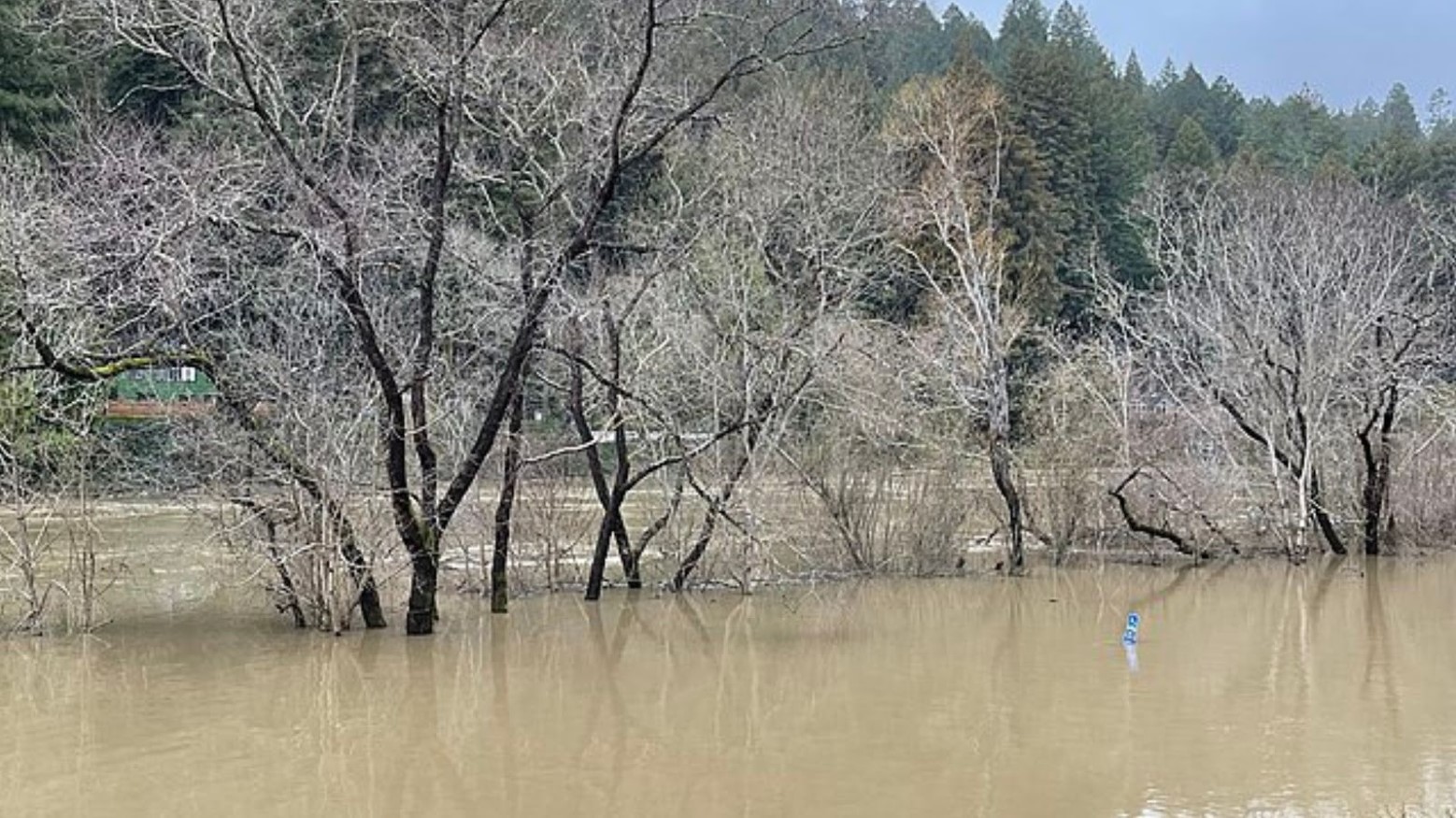 This is a river in Monte Rio, California. It is high and covers some of the trees in the water.
