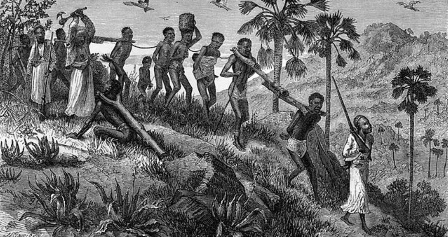 A black-and-white drawing of slavery. The slaves walk in a line and hold various items, including tree branches and buckets.