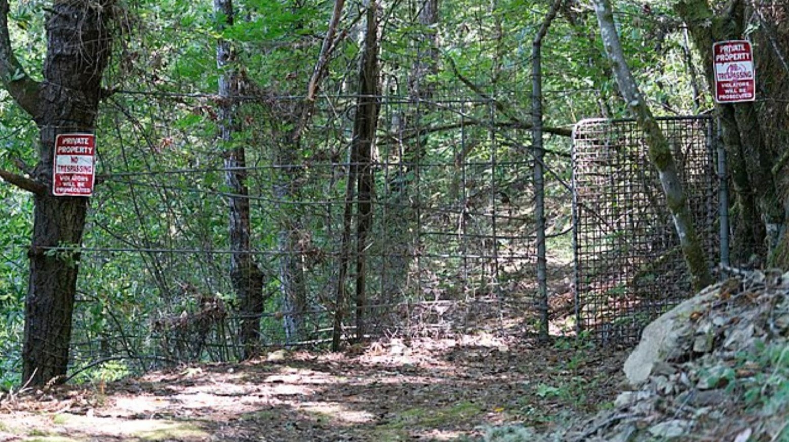 The forest area surrounding Bohemian Grove. Signs saying “Private Property, No Trespassing” are posted on the trees, and some metal fencing prevents people from getting in.