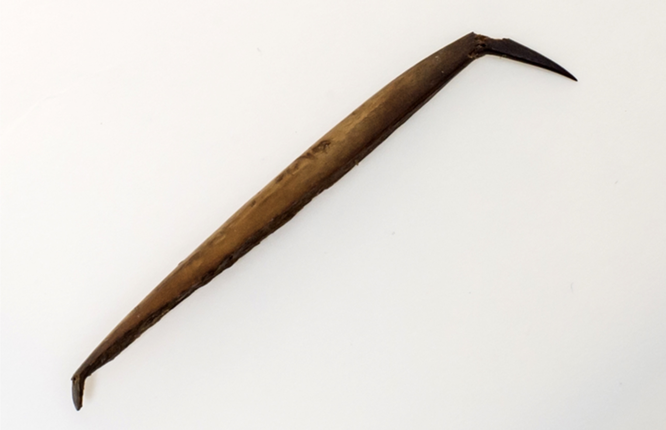 A sharpened bone awl from the Iceman's toolkit