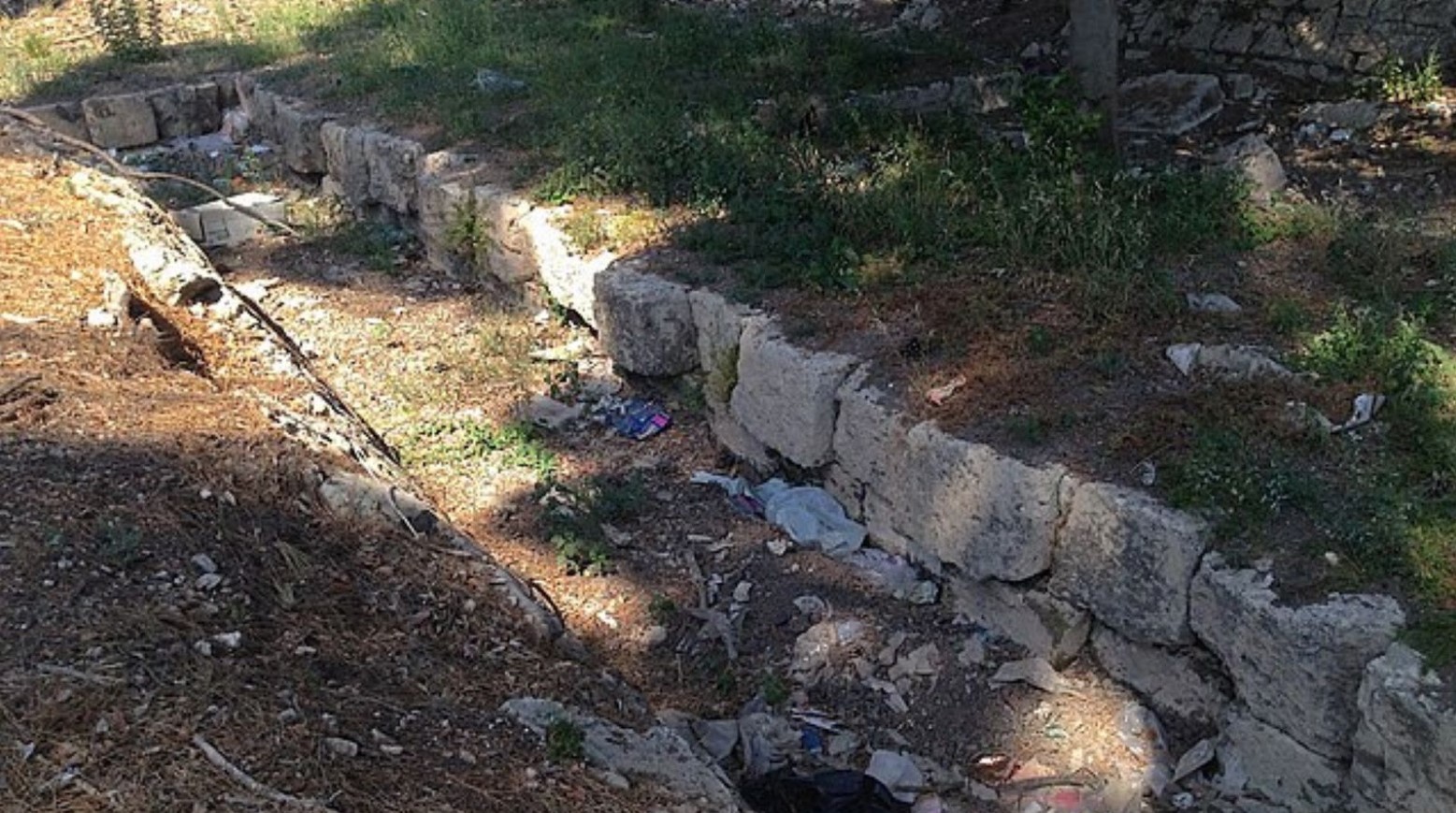 An example of an ancient Greek wall in a field. The wall is quite low and goes into the ground.