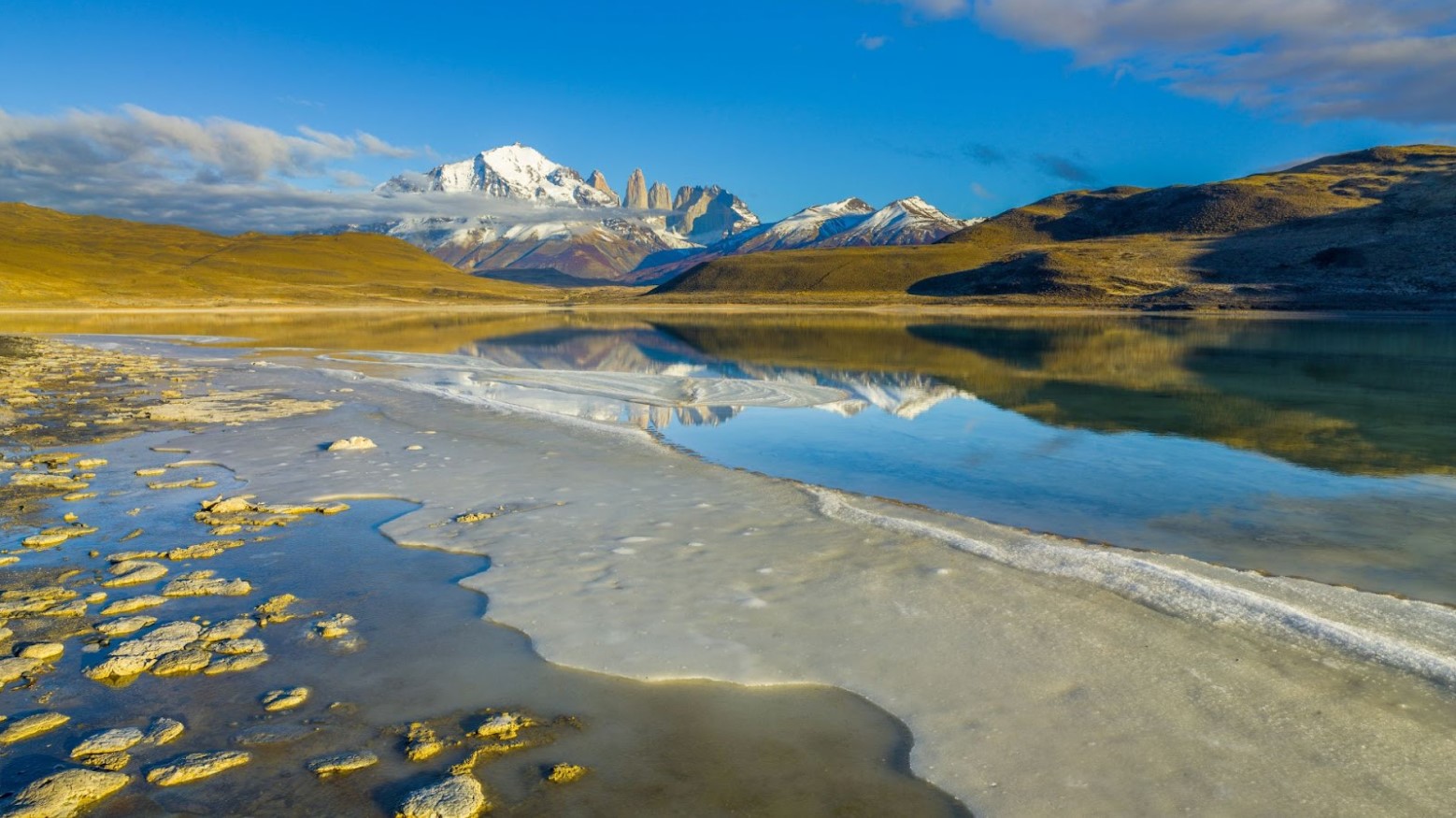 Stromatolites seen near water in the daytime in Chile.