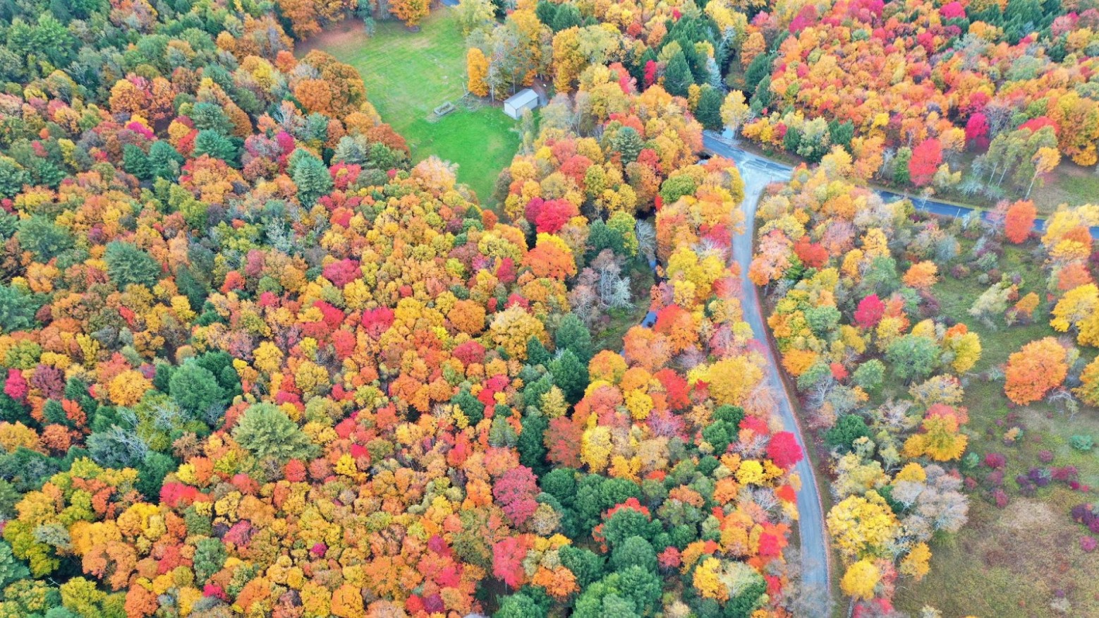An aerial view of the trees seen in the fall in Bethel, New York.