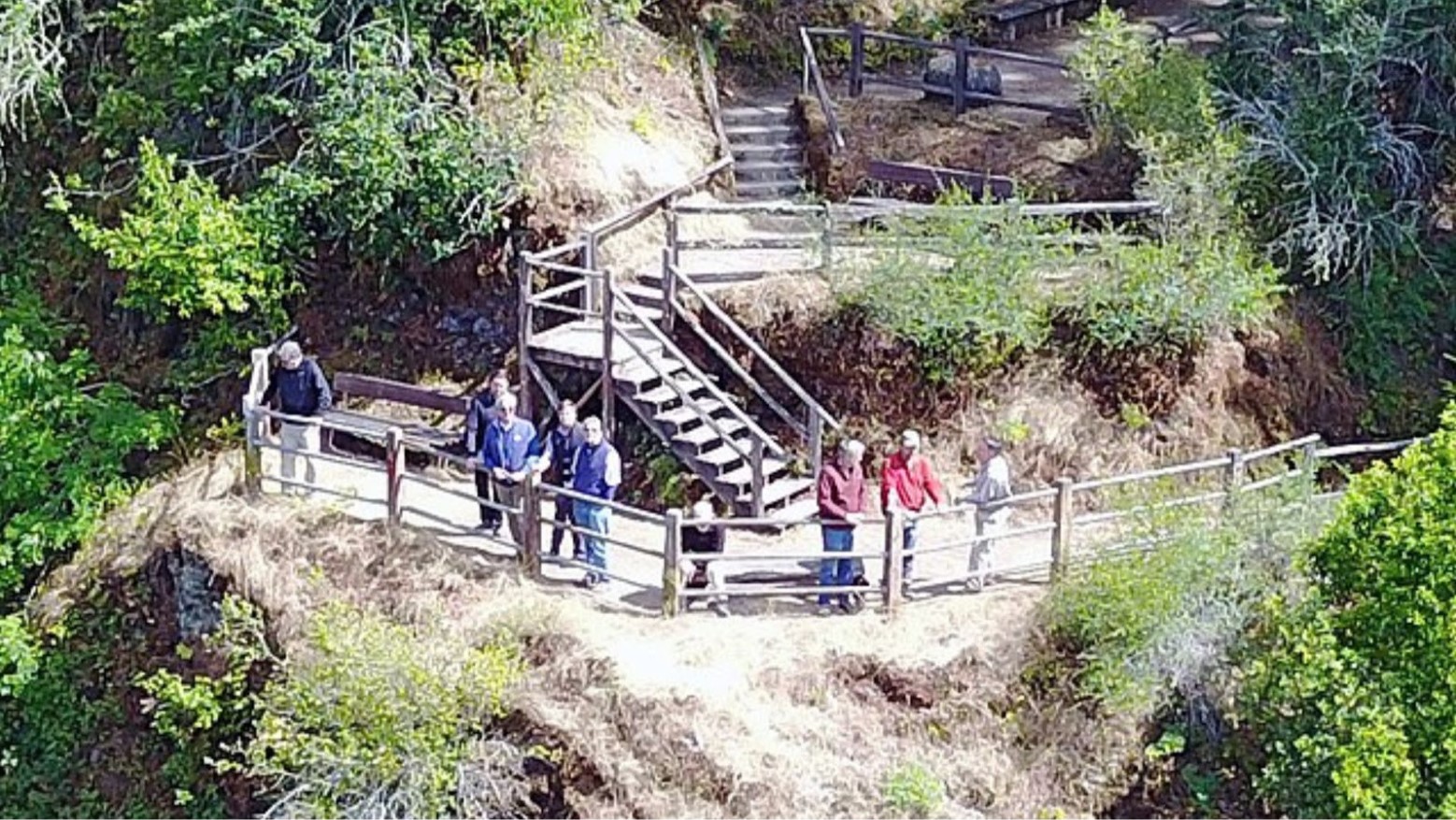 Some people standing in Bohemian Grove next to some steps standing next to some fences. Trees surround them.