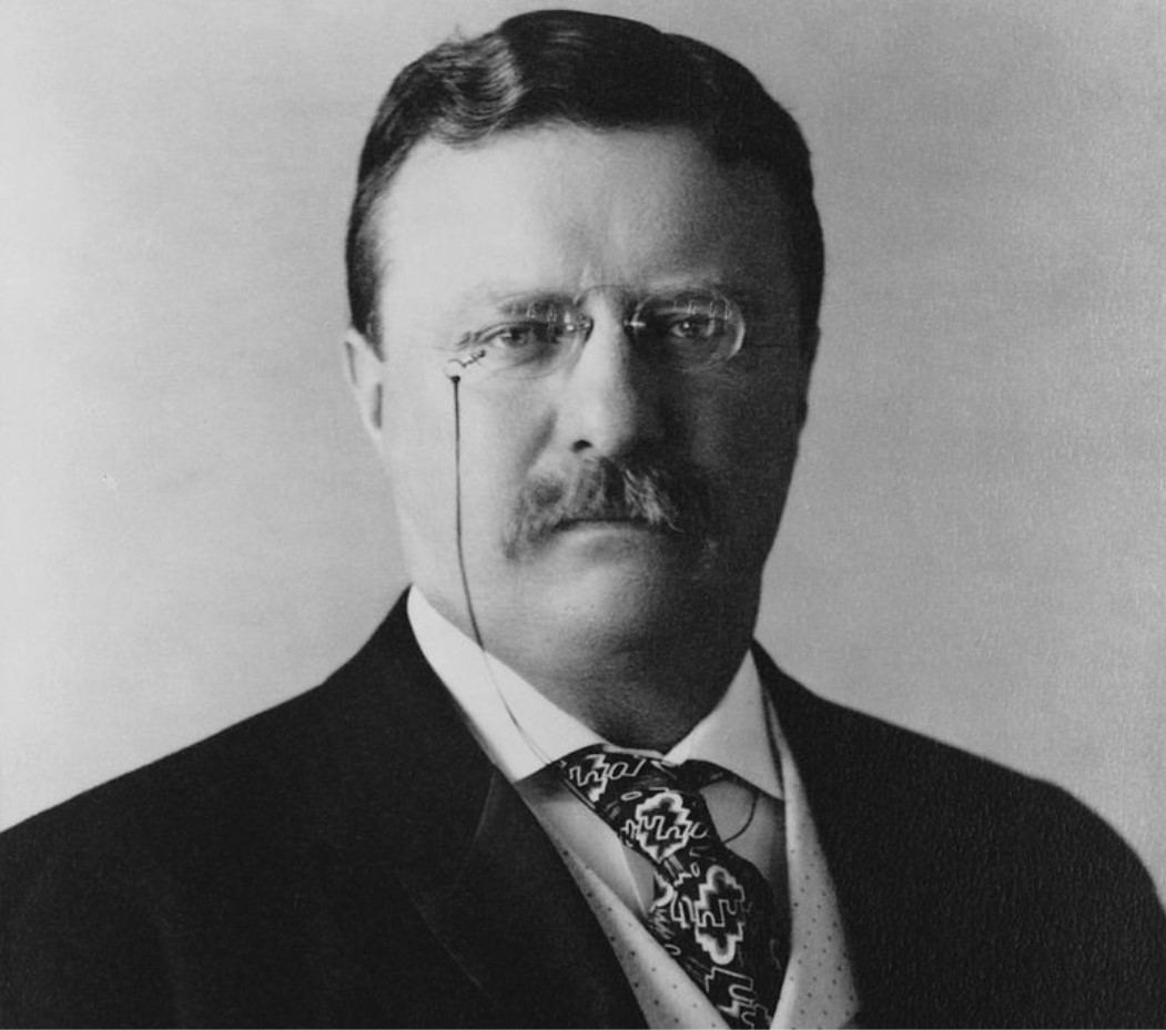 An image of former US President Theodore Roosevelt