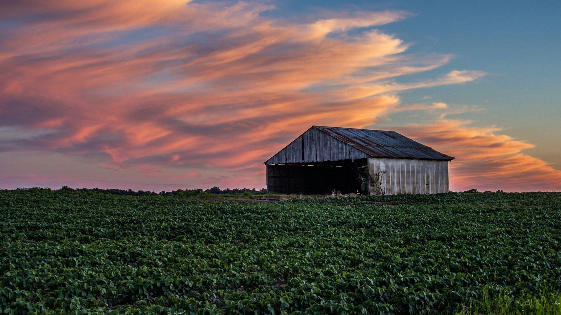 A barn seen on a pasture during a sunset in Indiana.