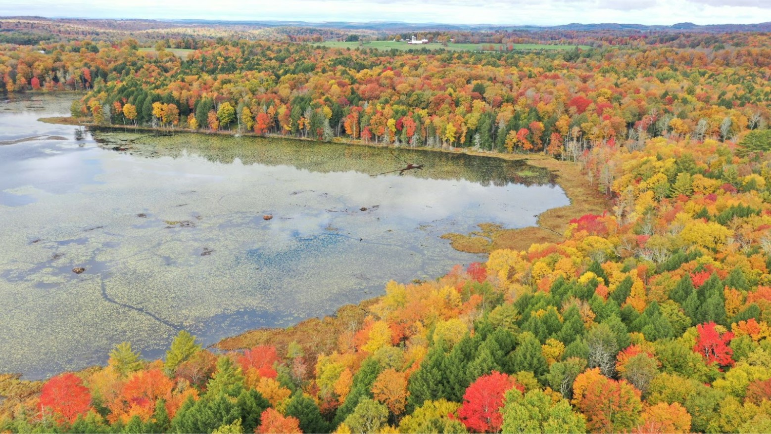 A body of water seen near trees in Bethel, New York during the autumn.