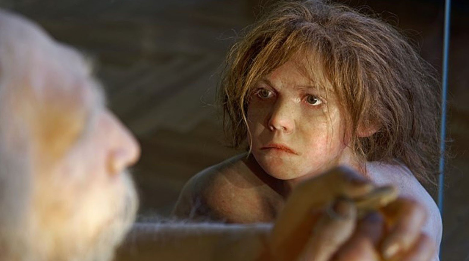 Discovery of a Hybrid Child With Neanderthal and Modern Human DNA ...