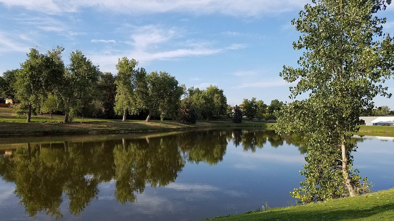 A lake surrounded by trees in an American park