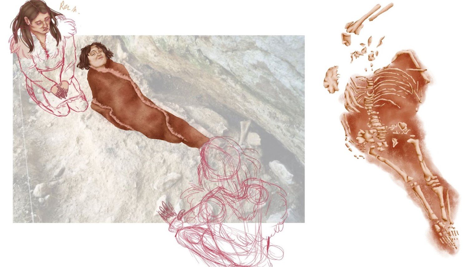 A sketch of the Lapedo Child. The child is lying down and wrapped in a blanket. Two people are kneeling down beside him. To the right is a sketch of his bone structure, which has a curved spine and long feet.