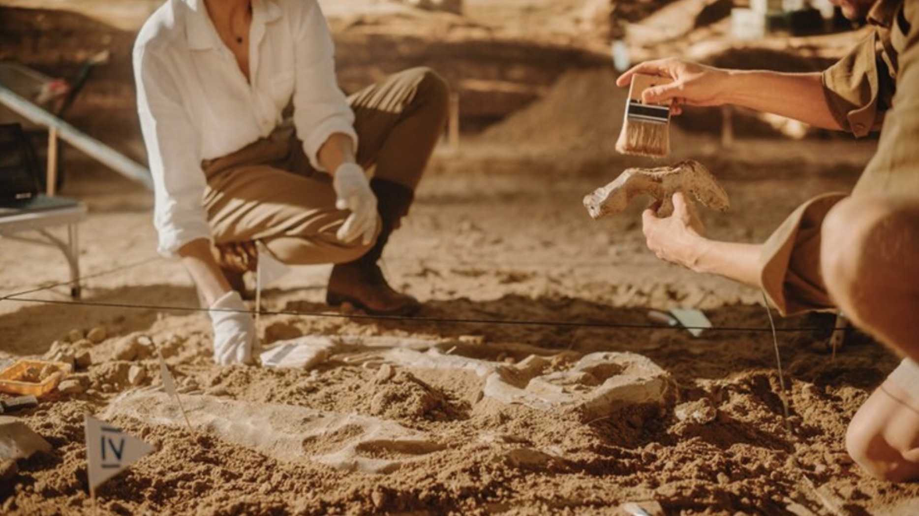An image of two archaeologists working at a site