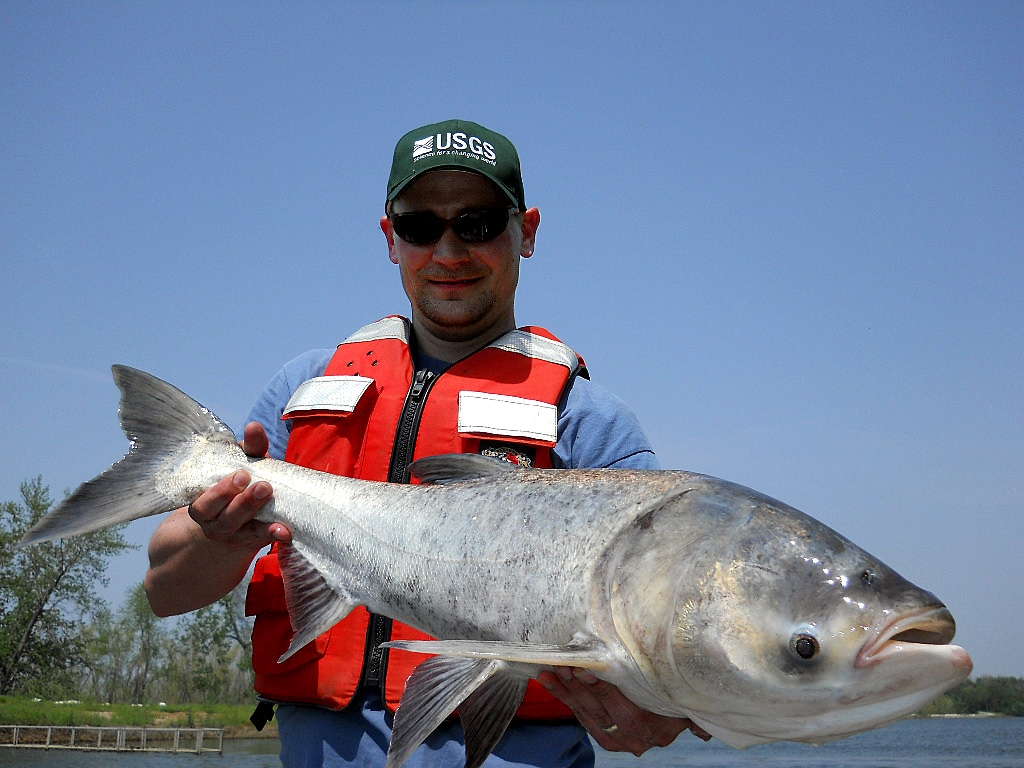 A man holding a bighead carp near a lake