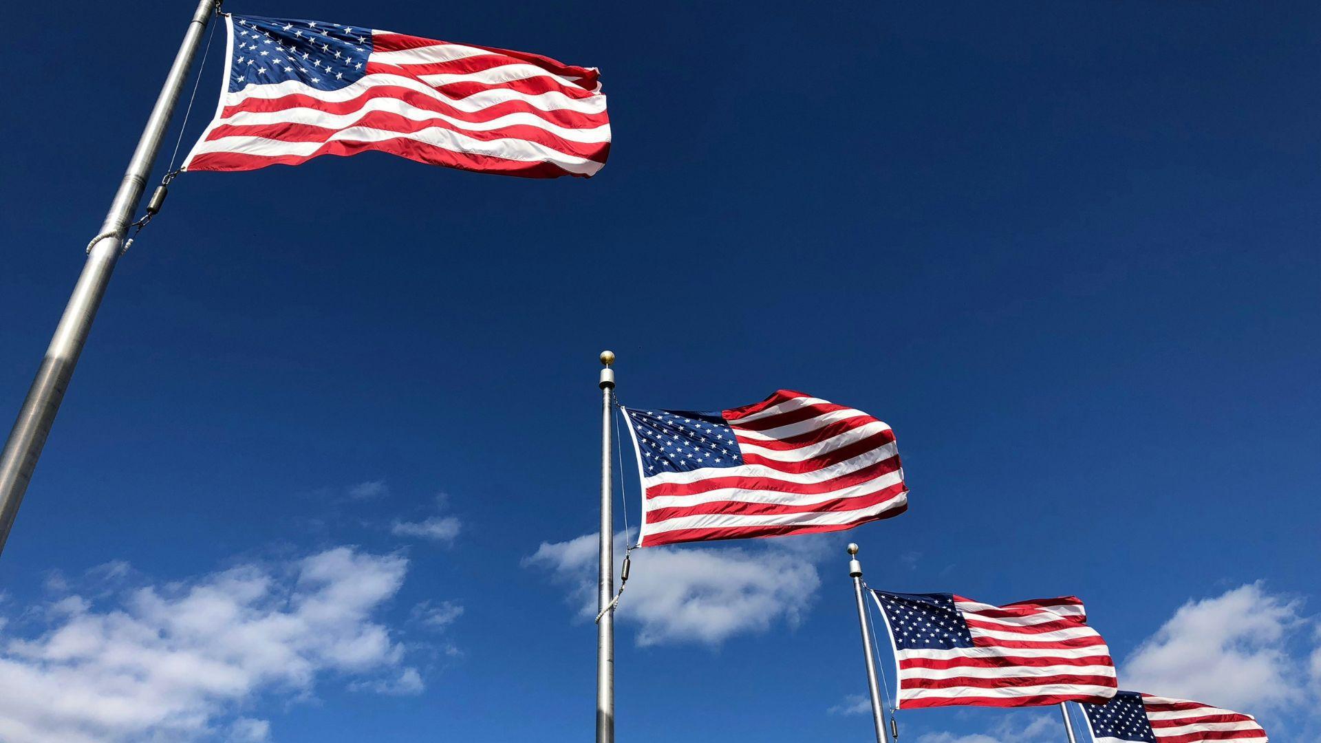 Many American flags on poles waving in the wind.