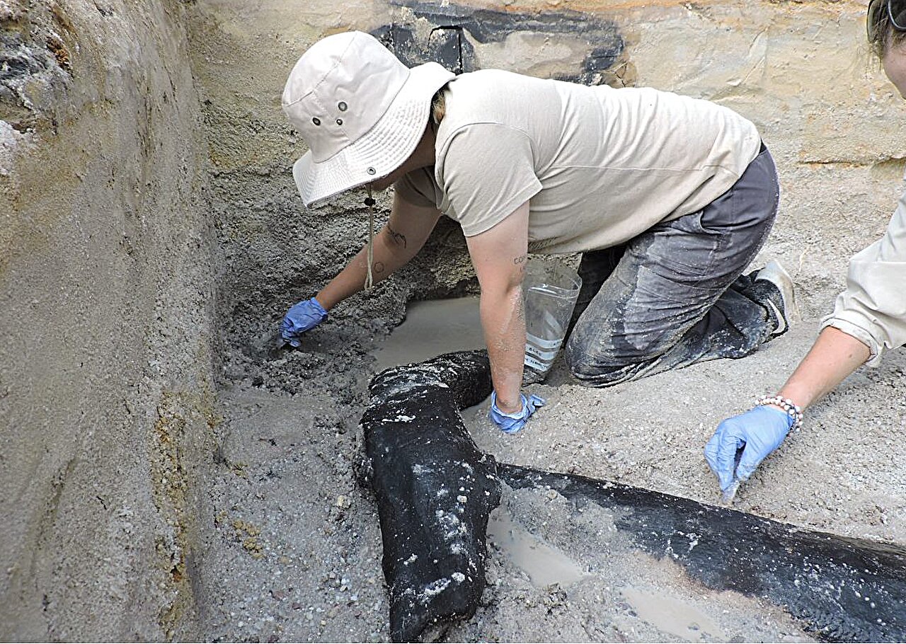An archaeologist uncovering the oldest wooden structure