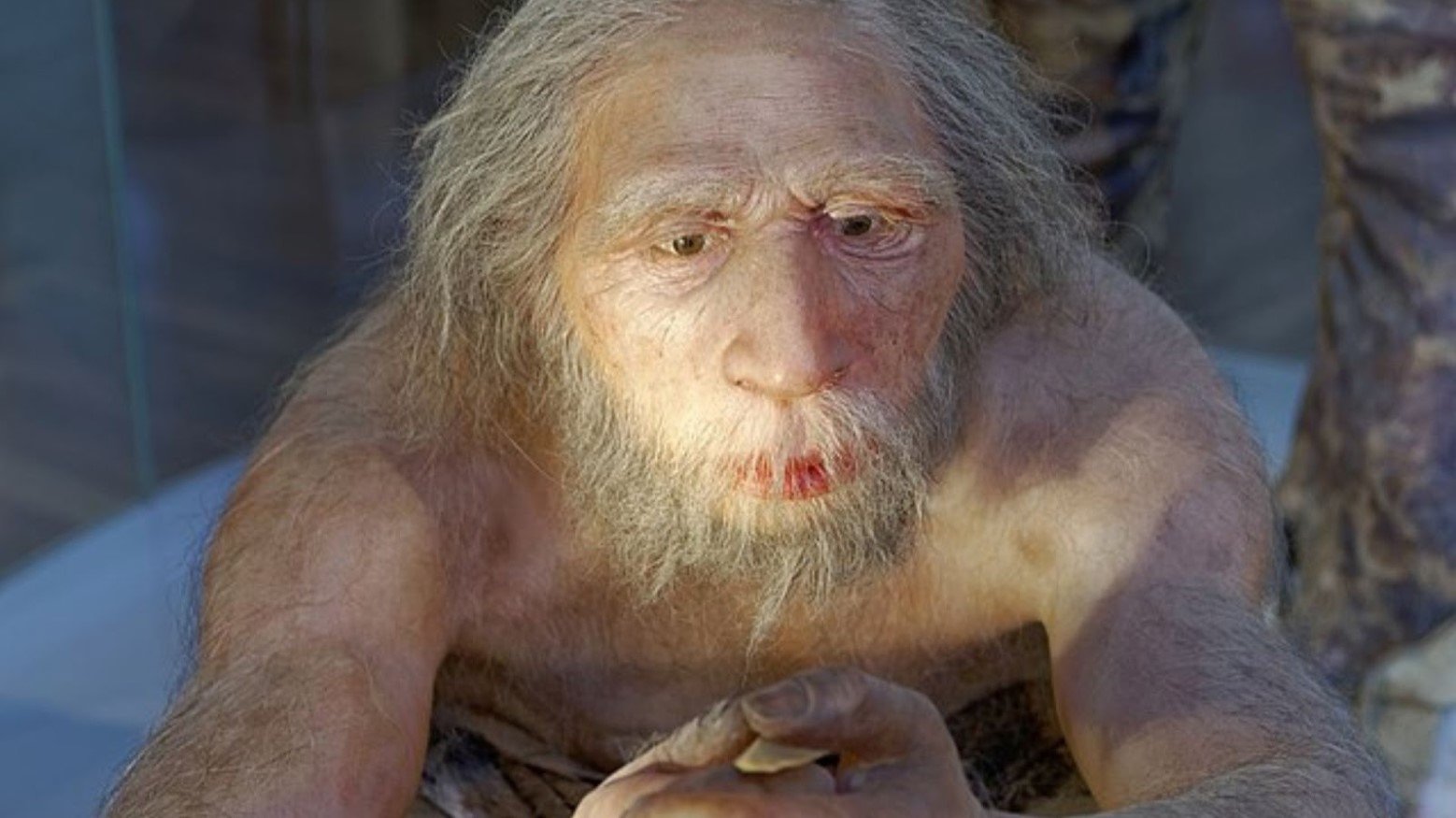 A Neanderthal. He has grey hair and a beard, and his hands are clasped together.