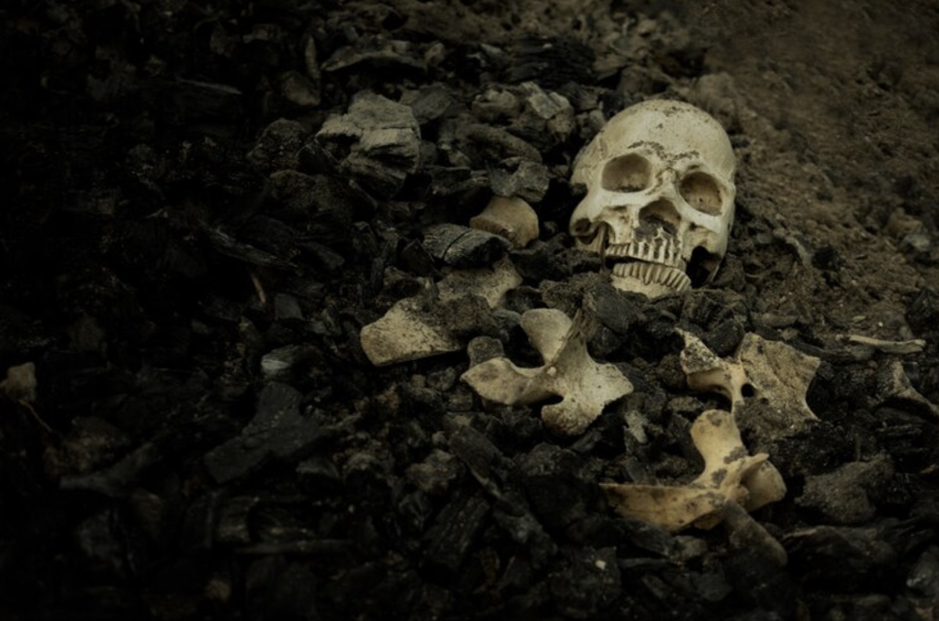 A photograph of a human skull discovered buried under a small mound of dirt