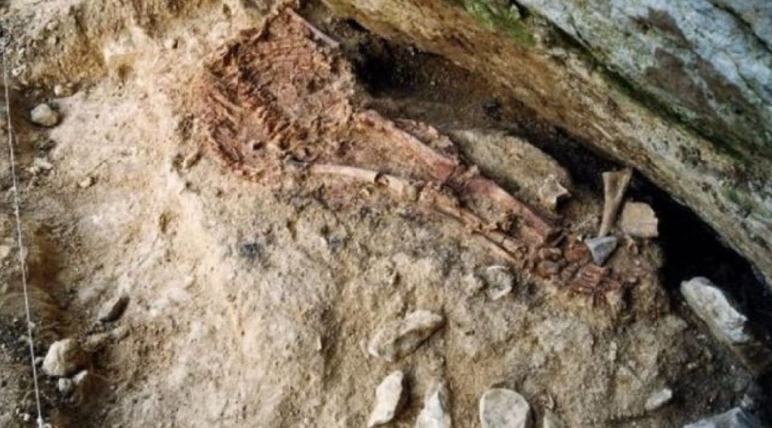 The site where the Lapedo Child was found. Some bones and rocks can be seen.