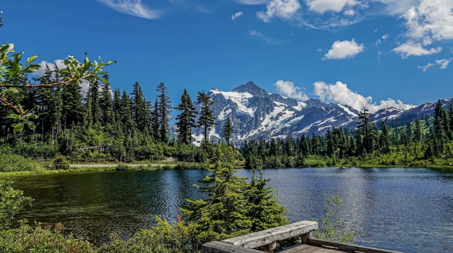 Water and green trees in front of a mountain seen at a Washington state park.