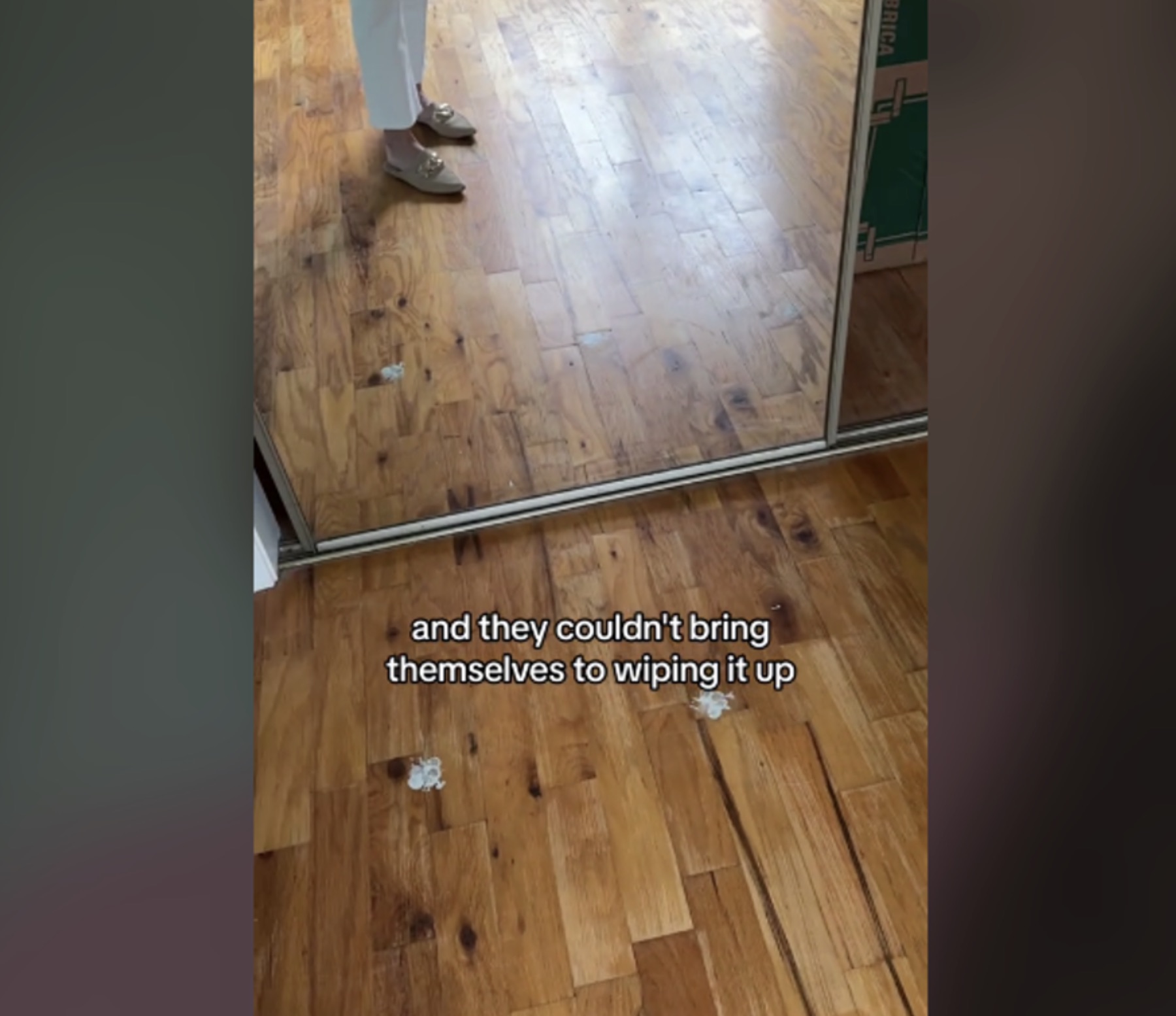 A screenshot of a video that shows off several paw prints left behind by a dog