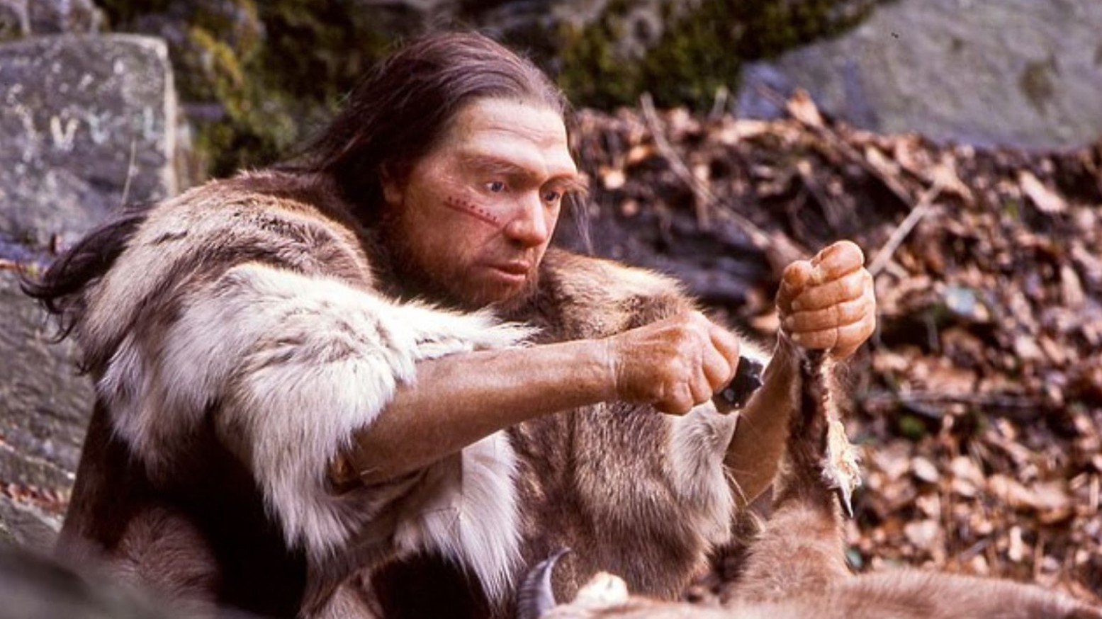 A Neanderthal sitting by some rocks holding an animal it has caught.