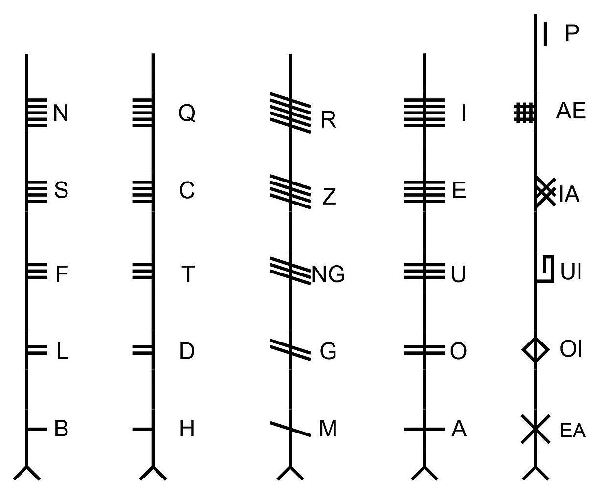 A picture diagram of the Ogham alphabet