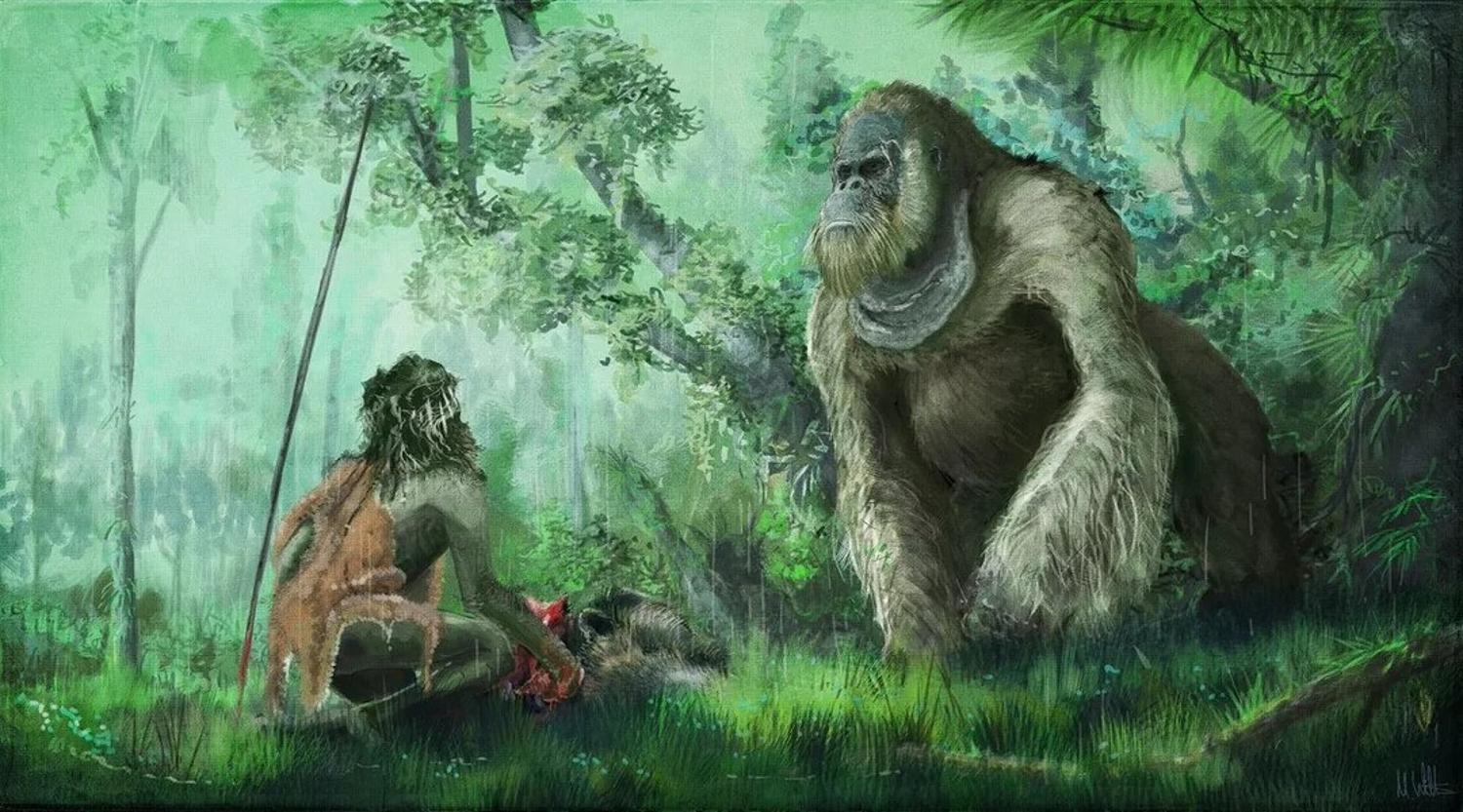 An illustration of an early human in front of an ancient Gigantopithecus blacki
