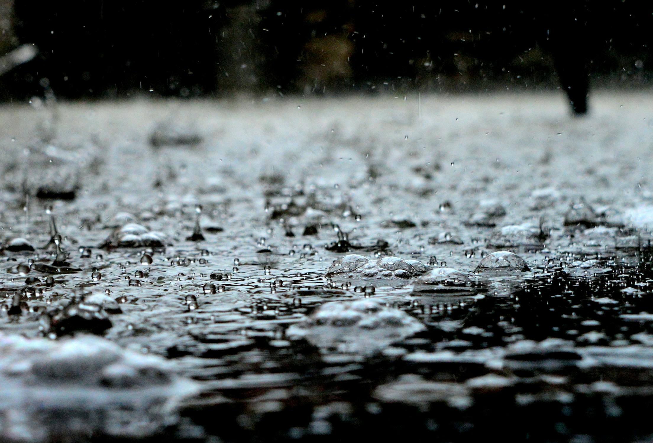 A closeup of raindrops on the ground