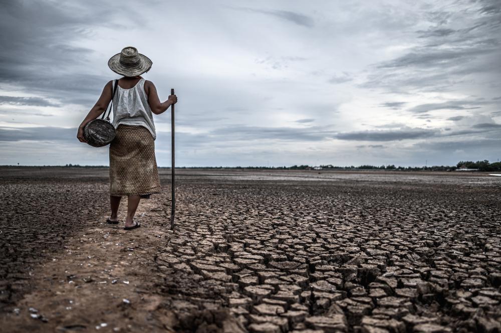 A person is pictured standing with a stick during a drought