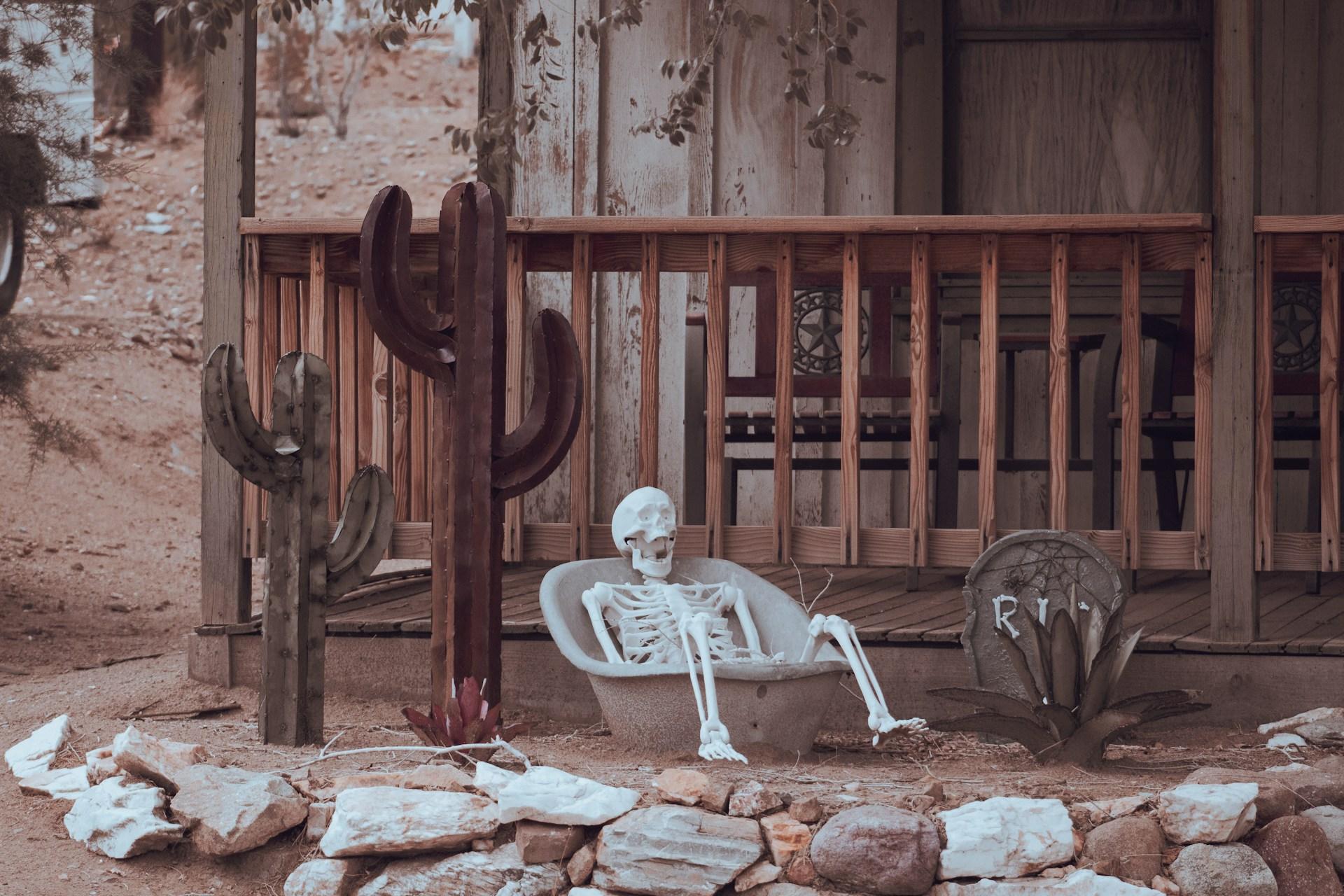 A skeleton sitting in a tub next to a couple of cactus trees in front of a porch