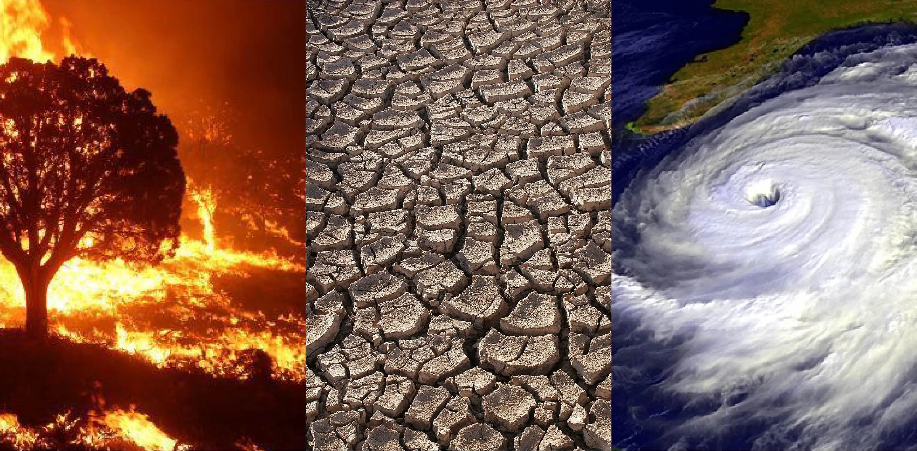 Three photos of climate changes affect on Earth