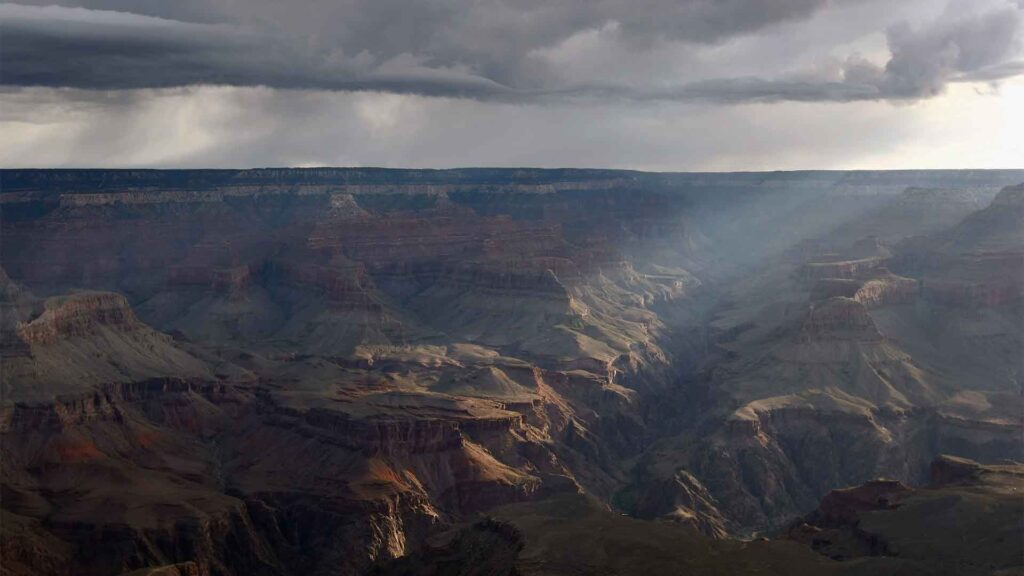 Fossil Hunters Grand Canyon Adventure A Prehistoric Journey - pm067f6