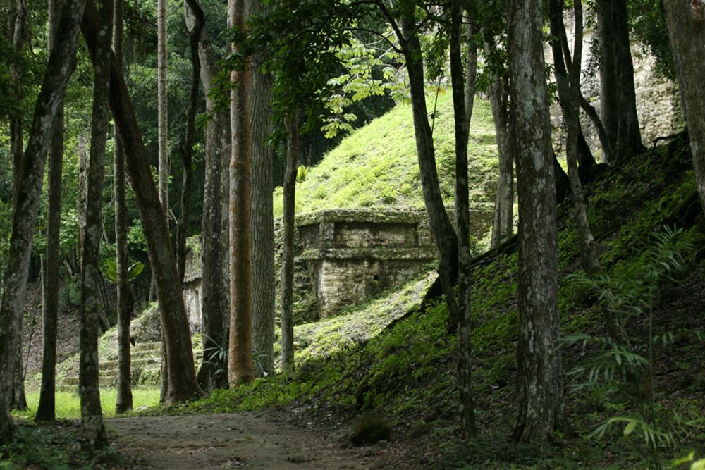 Archaeologists Uncover Cluster Of Ancient Lost Civilizations