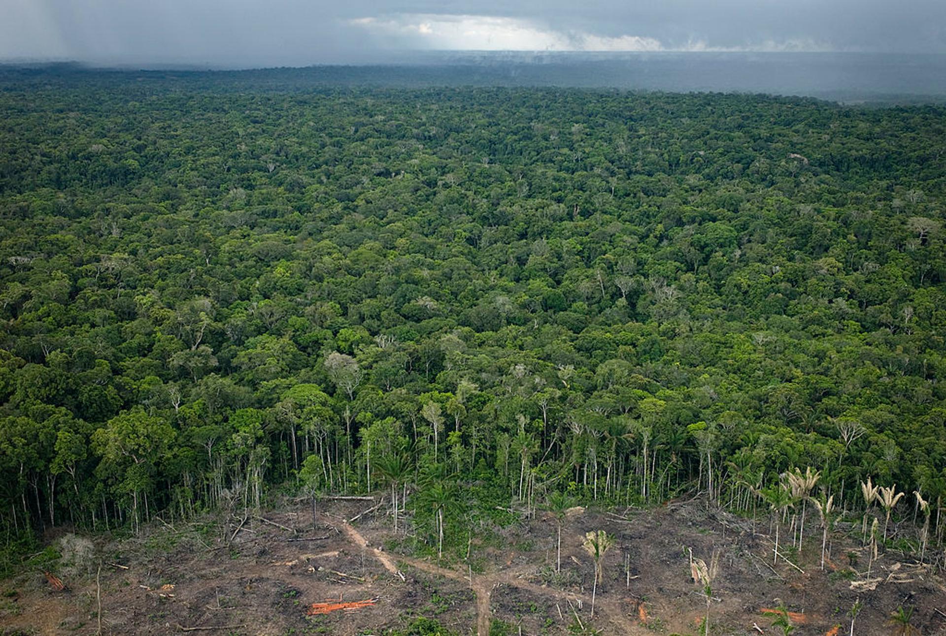 Archaeologists Uncover Cluster Of Ancient Lost Civilizations