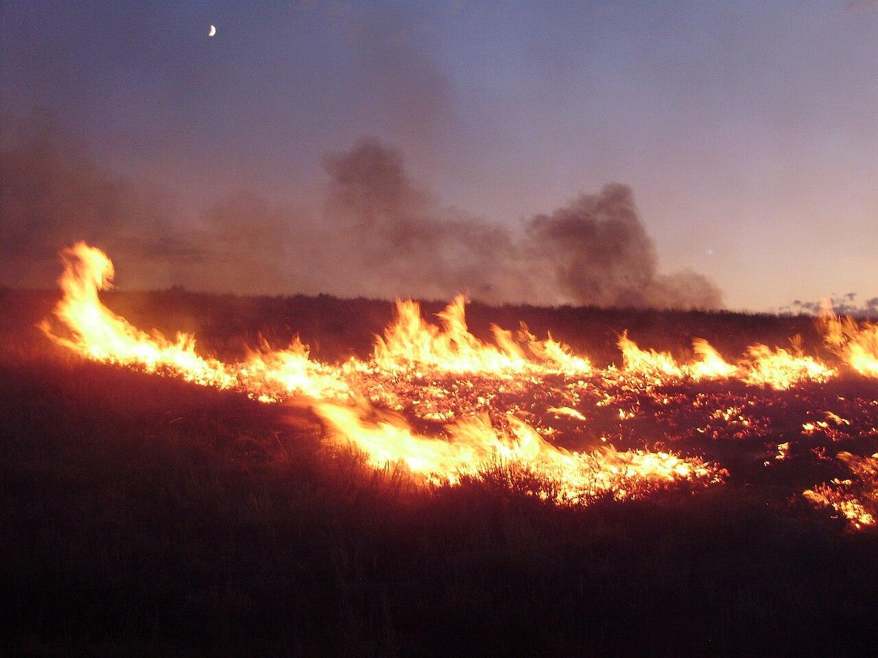 A picture of a large fire in a field