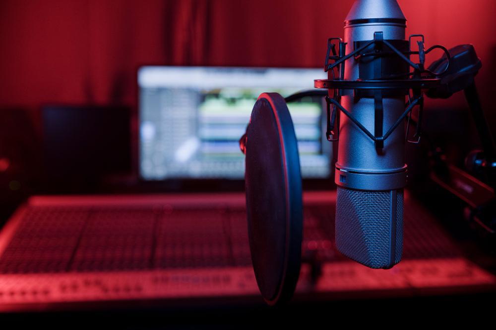 A photograph of a microphone inside a recording studio