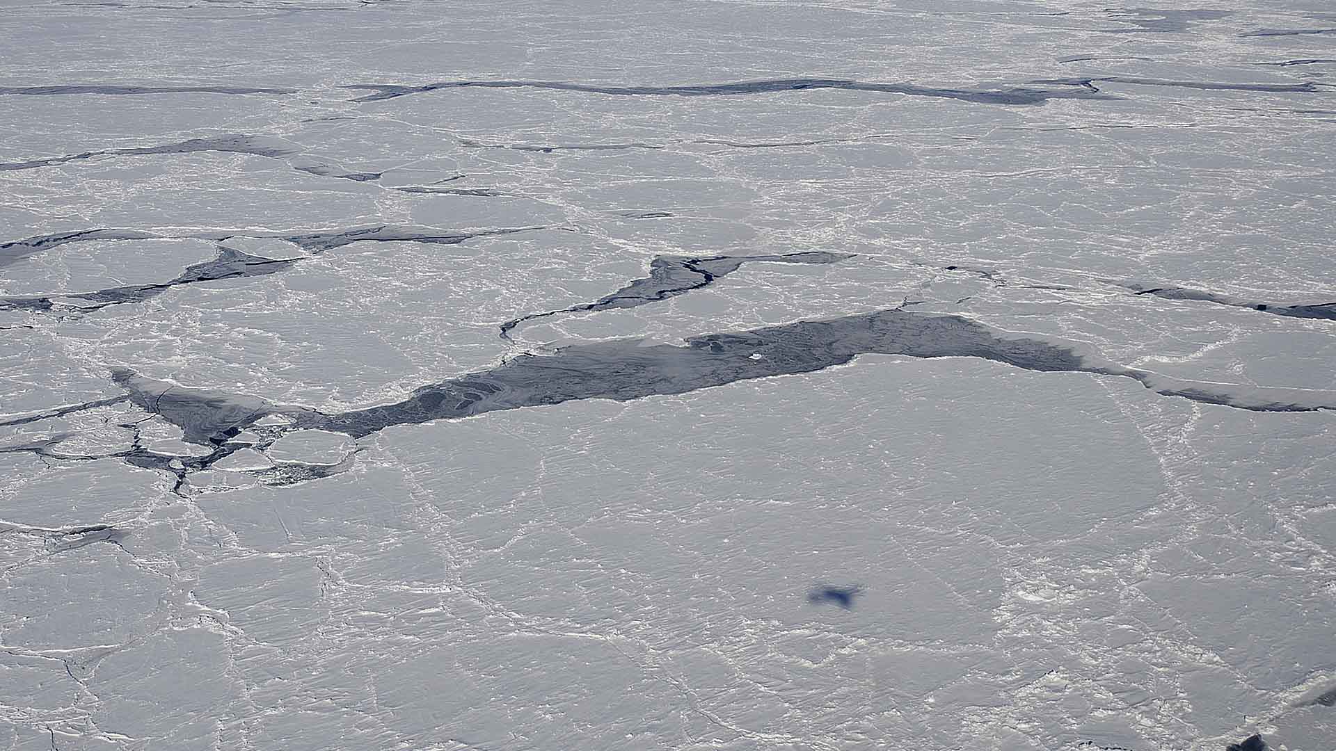 ce covering the Bellingshausen Sea, off the coast of Antarctica
