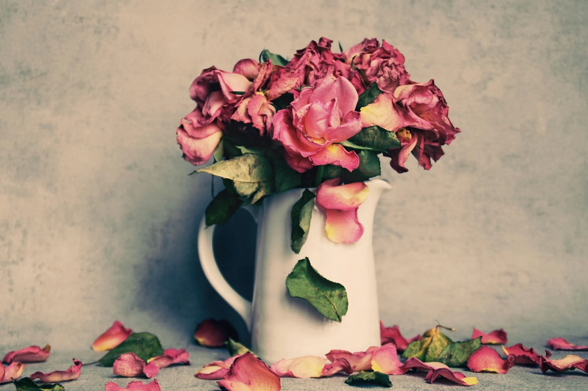 A bouquet of pink roses dying in a vase on a table