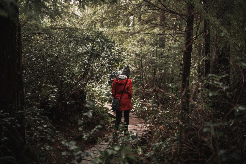 A photograph of a man walking through a forest